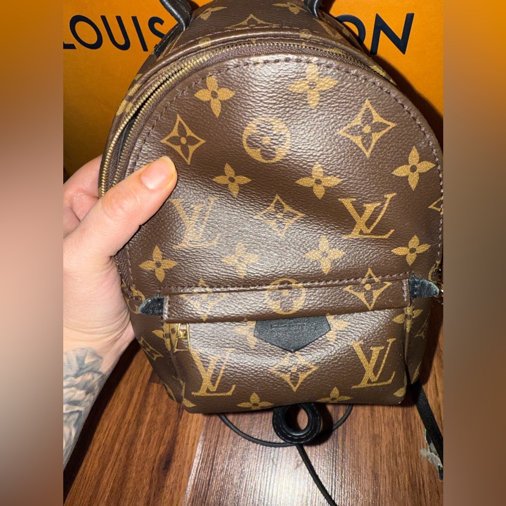 Louis Vuitton mini Palm Springs